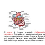 cuore20