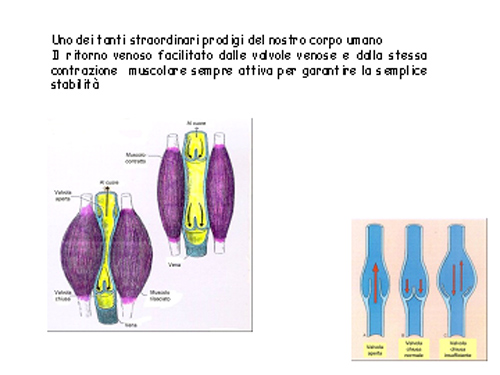 cuore28