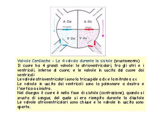 cuore37