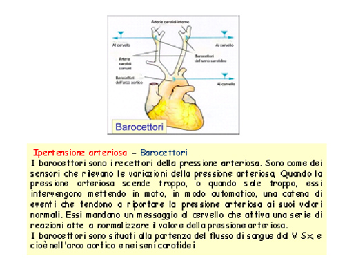 cuore38